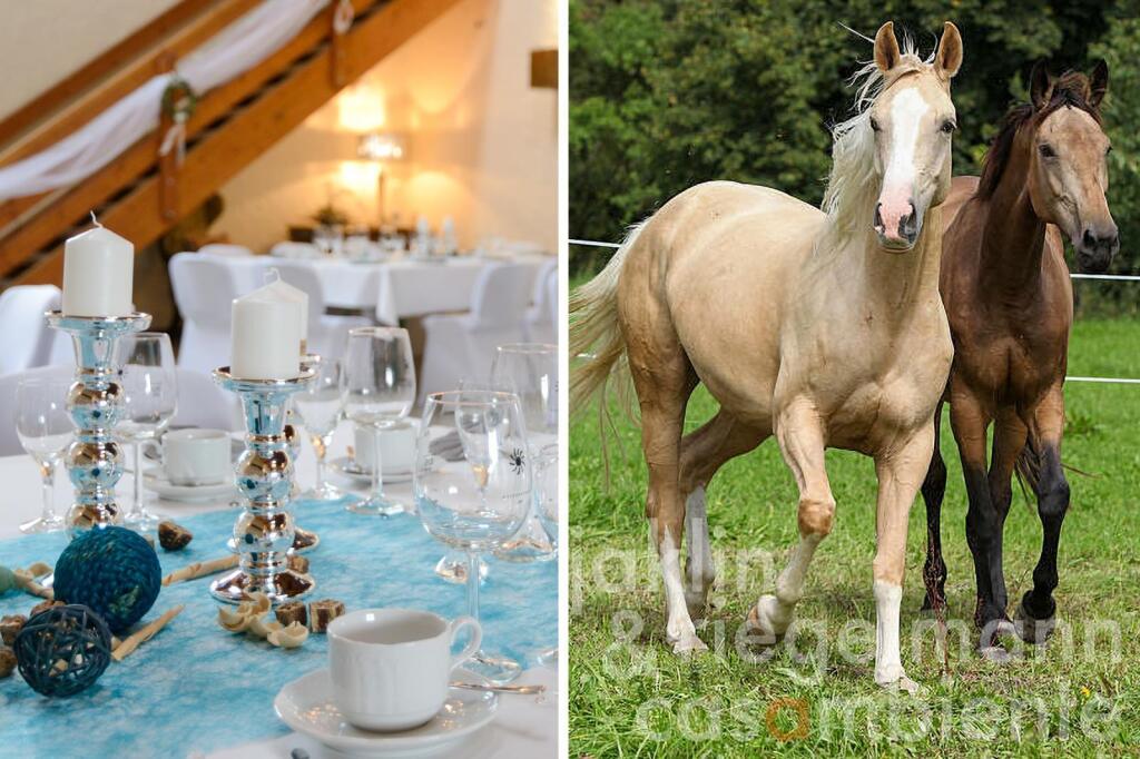 Main image of property: Rhineland-Palatinate