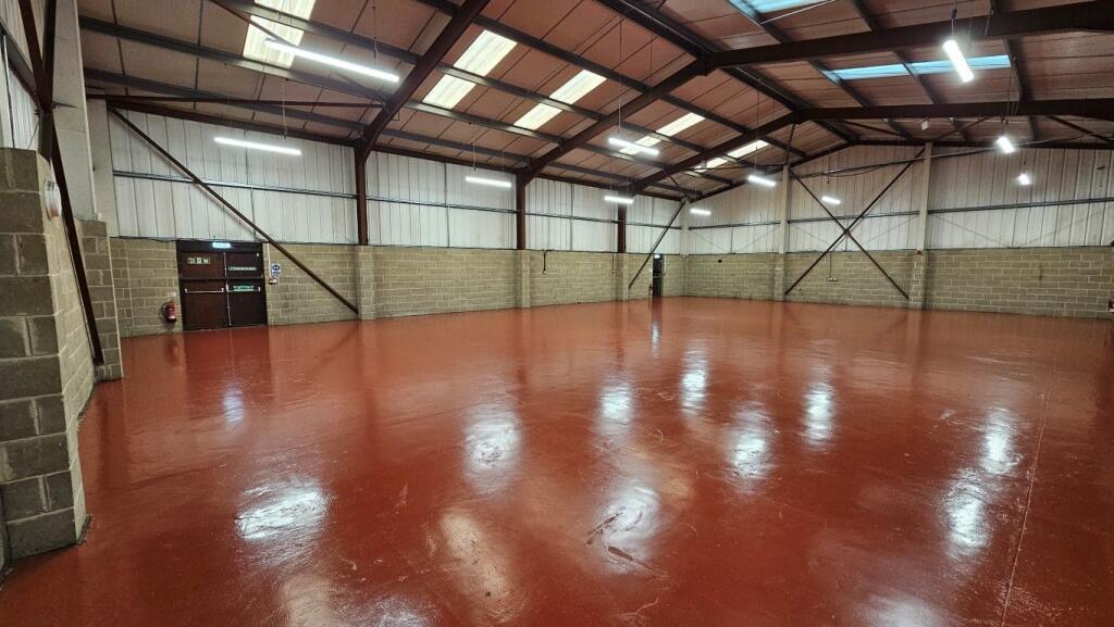 20241031_143519 Medium.jpg