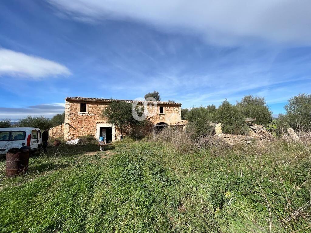 Main image of property: Balearic Islands, Mallorca, Binissalem