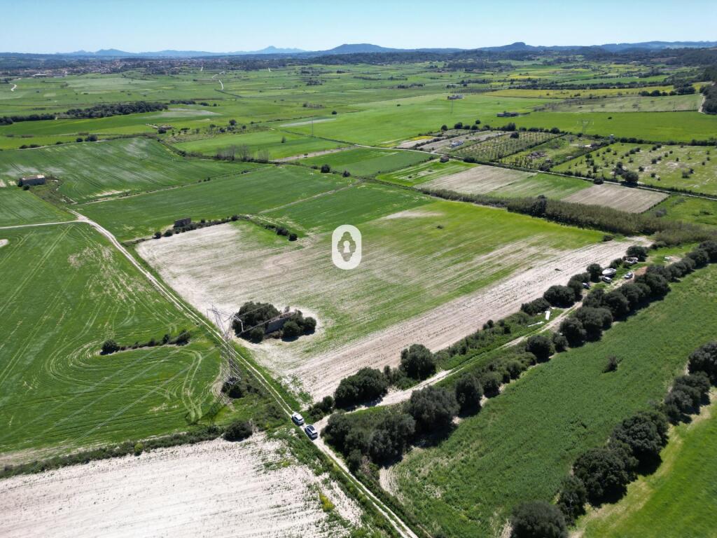 Main image of property: Balearic Islands, Mallorca, Llubí