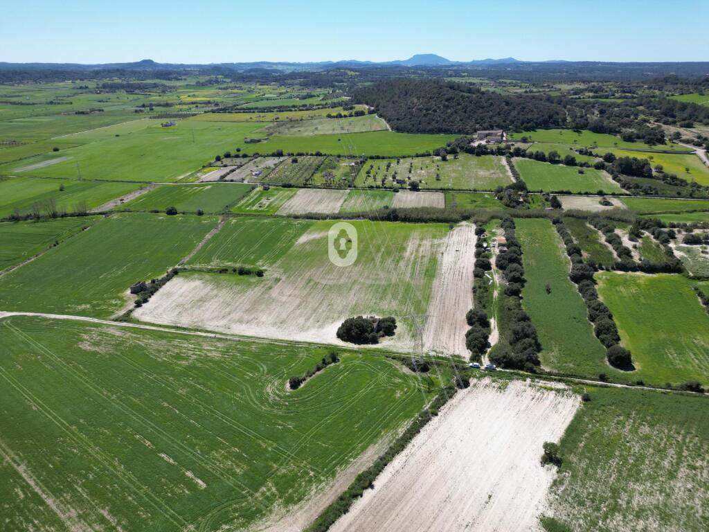 Main image of property: Balearic Islands, Mallorca, Llubí