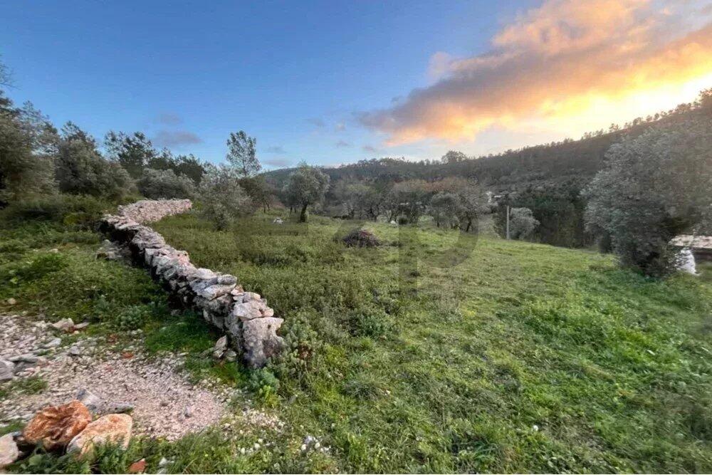Main image of property: Portugal