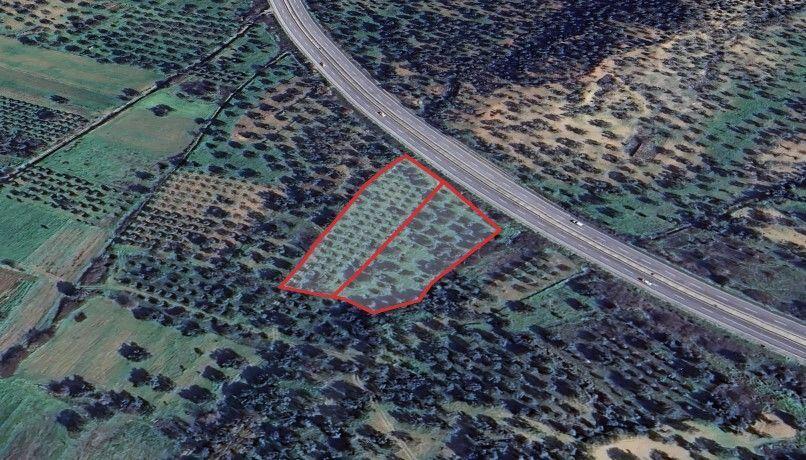 Main image of property: Izmir, Bornova, Izmir