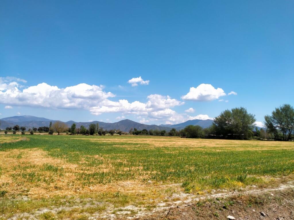 Main image of property: Izmir, Bornova, Izmir