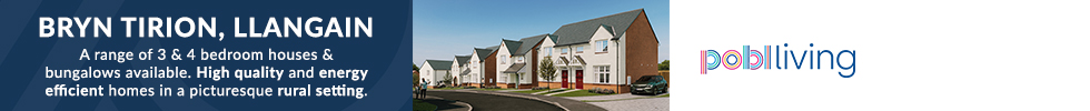 Pobl Living, Bryn Tirion