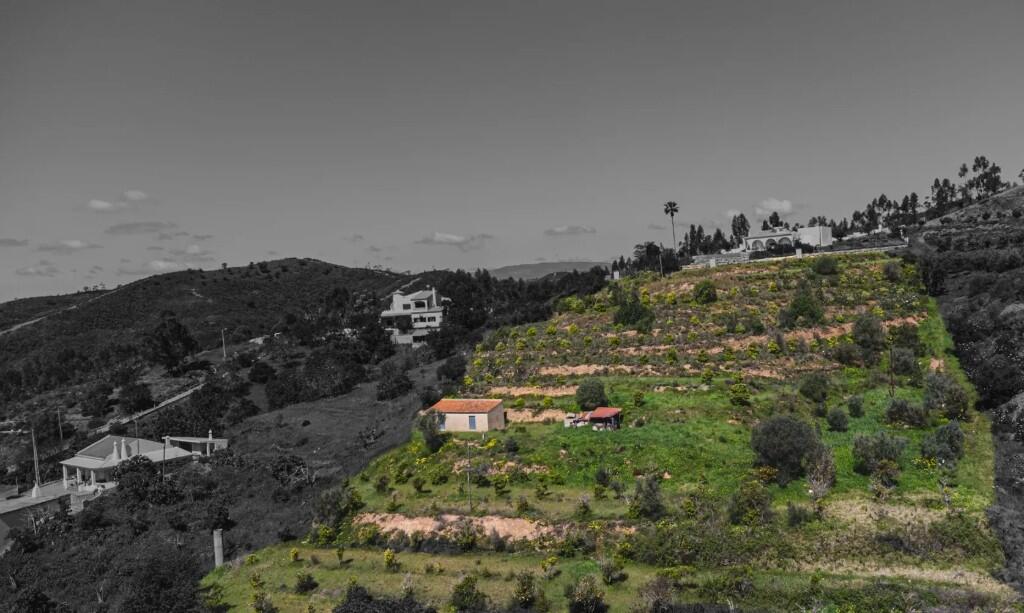 Main image of property: Silves, Algarve