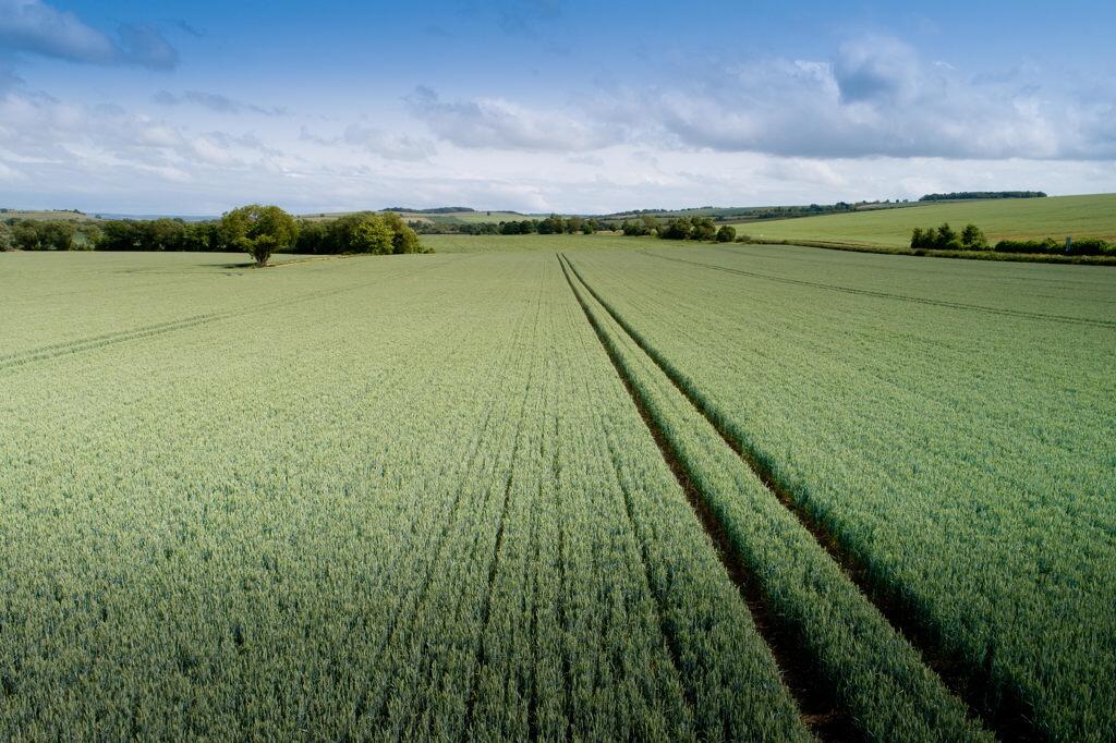Main image of property: 63.42 Acres Land At Upton (Lot 1), High Street, Upton, Didcot, Oxfordshire