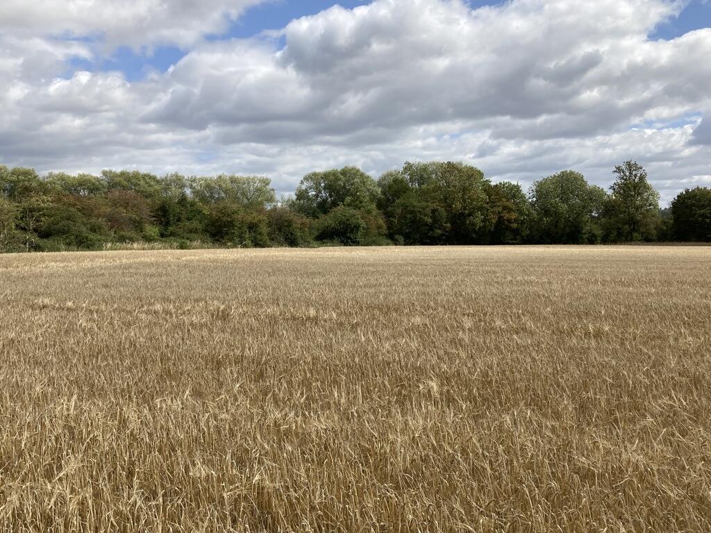 Main image of property: Land At Cassington Road (Lot 1), Eynsham, Witney, Oxfordshire