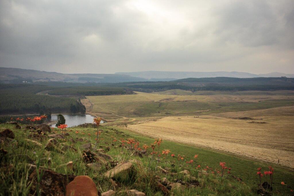 Main image of property: KwaZulu-Natal