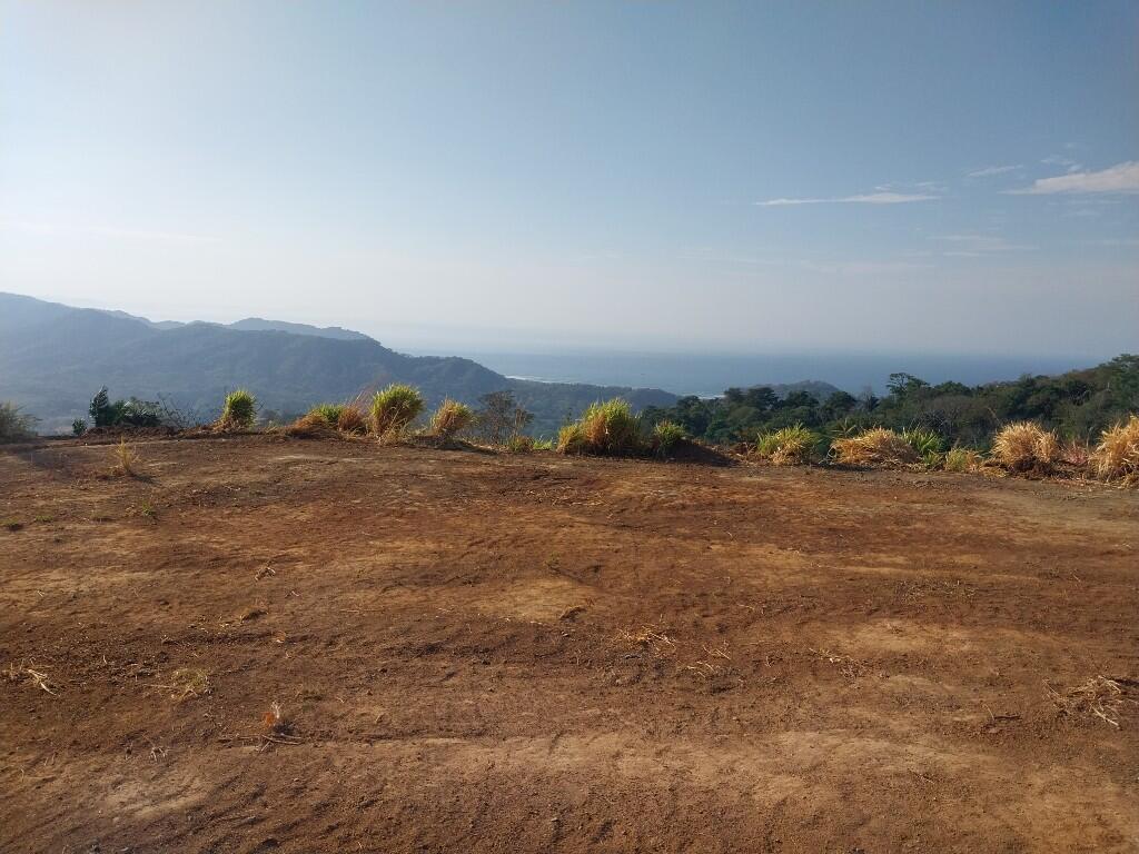Main image of property: Nicoya