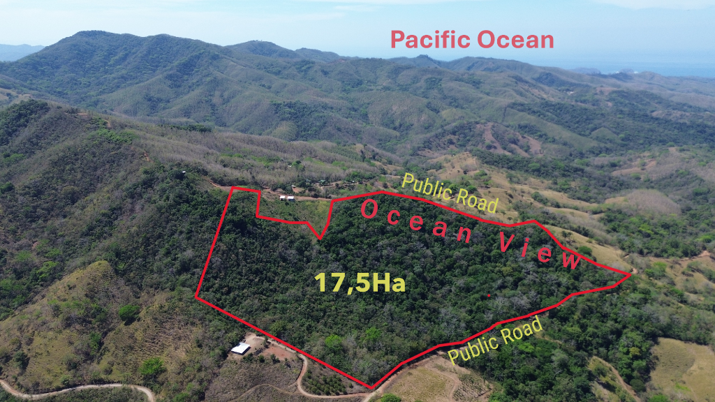 Main image of property: Nicoya