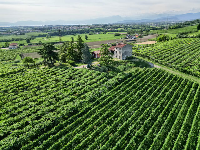 Main image of property: Castelnuovo Del Garda, Verona, Veneto