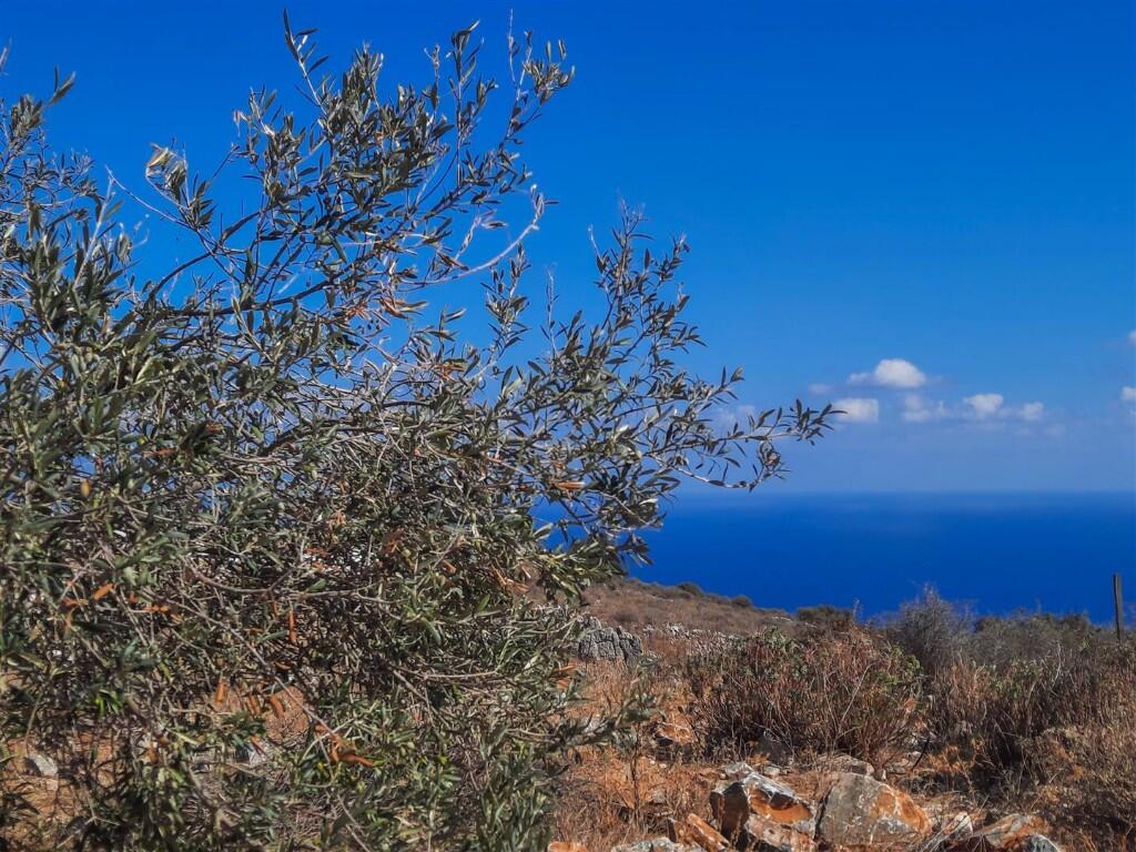 Main image of property: Kefalas, Chania, Crete