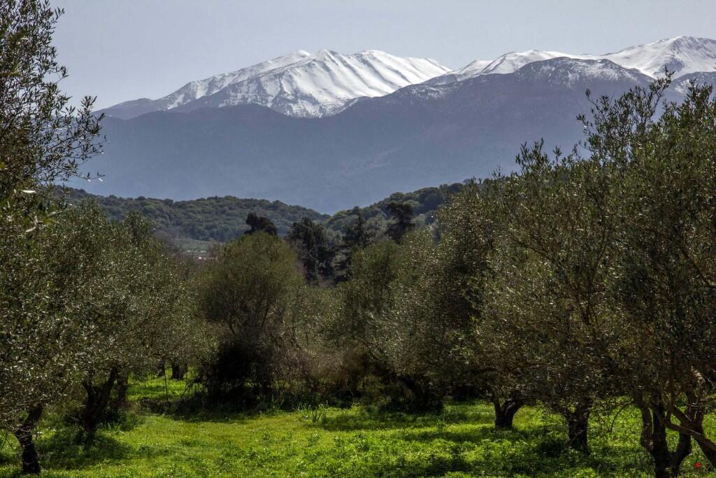 Main image of property: Vamos, Chania, Crete