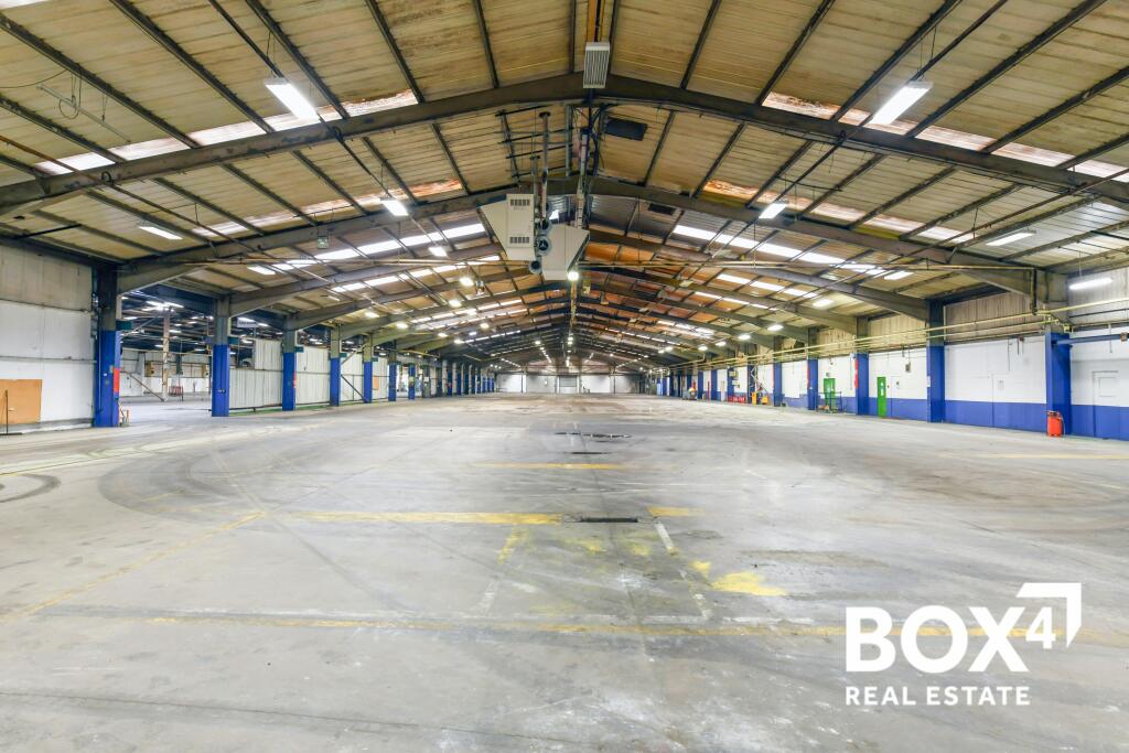 DSC_72342 lighter.jpg