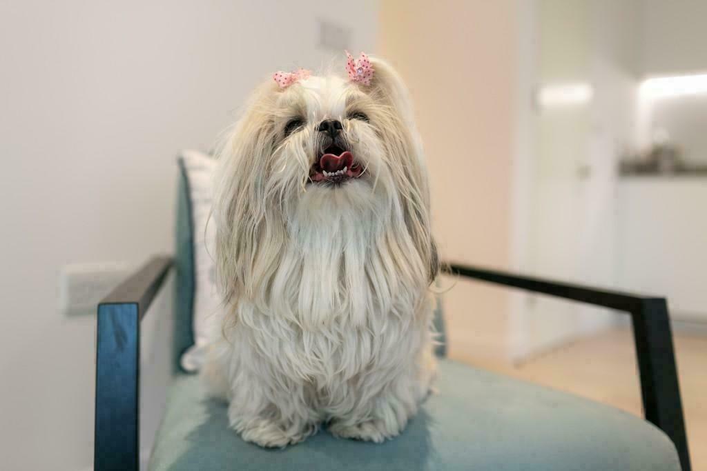 Main image of property: Killick Way, London, E1