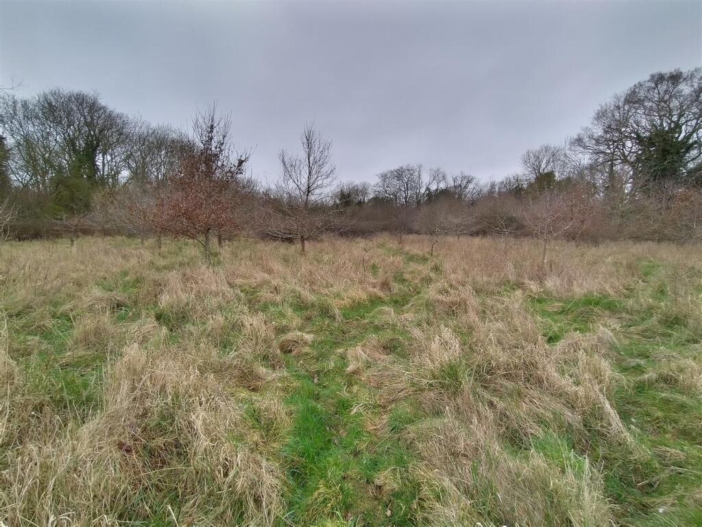 Main image of property: Off Cookes Road and Dodges Lane, Bergh Apton