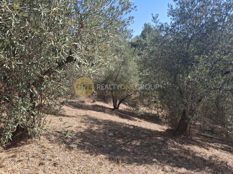 Main image of property: Evvoia, Agiokampos