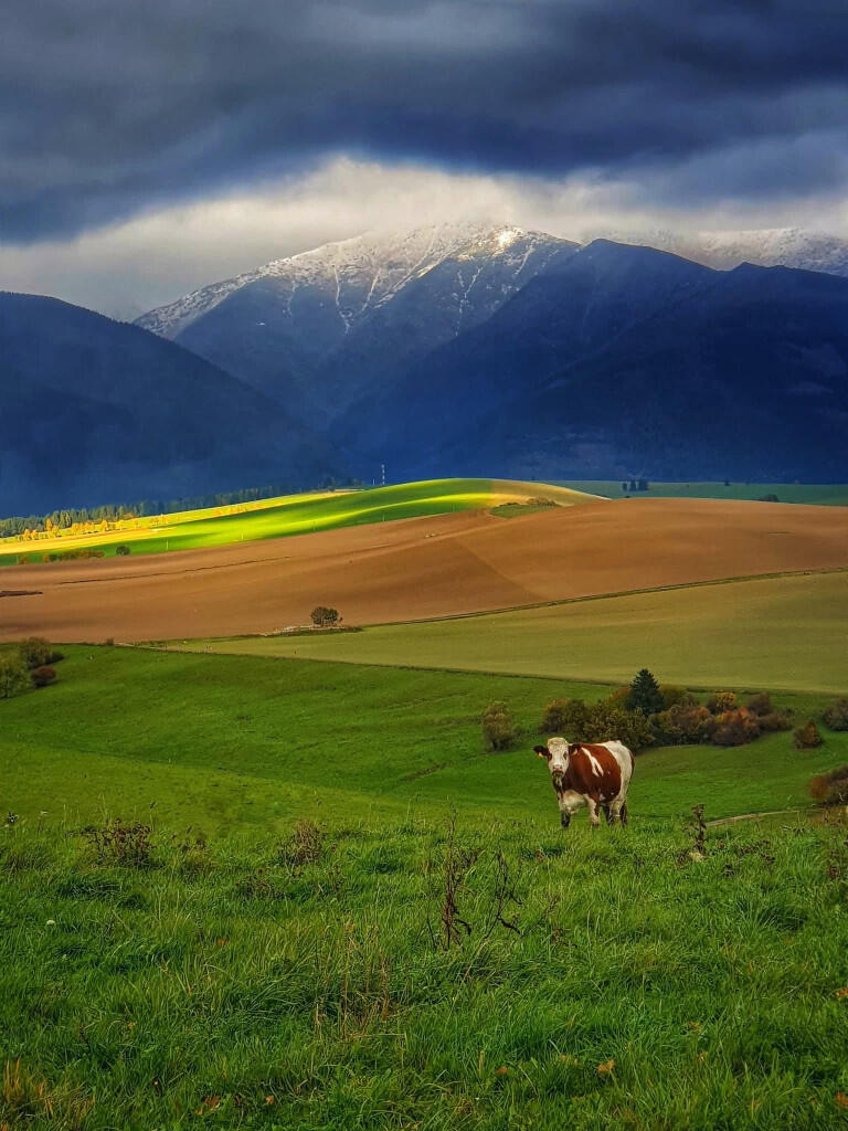 Main image of property: Banská Bystrica, Banská Bystrica Region