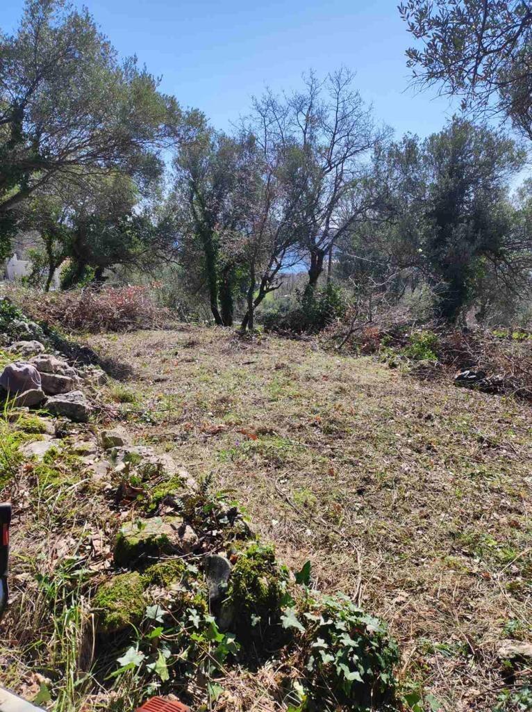 Main image of property: Herceg-Novi