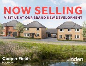 Get brand editions for Vistry M & CW (Linden)