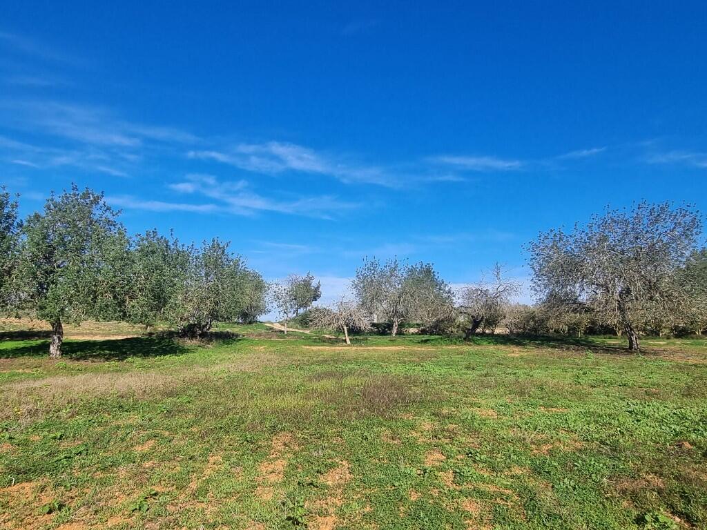 Main image of property: Santa Gertrudis De Fruitera, Ibiza, Balearic Islands