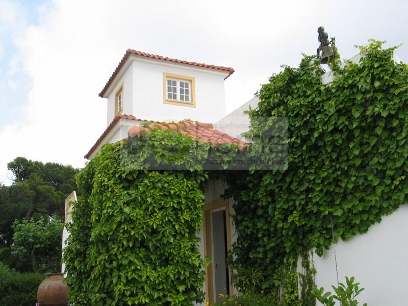 Main image of property: Lisbon, Sintra
