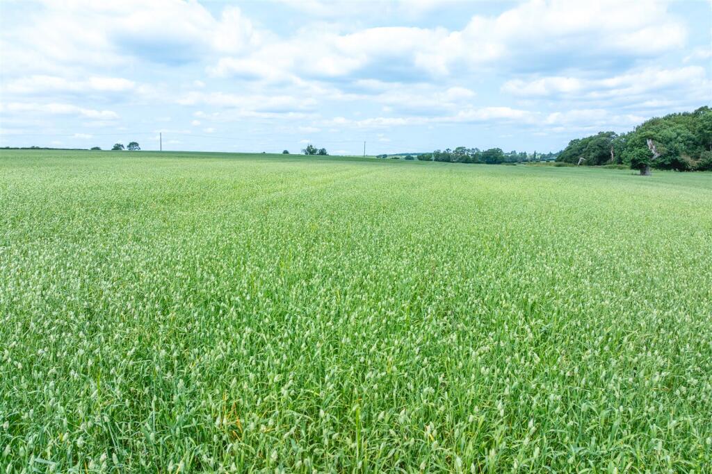 Main image of property: Lot 1 - Land off Thrussington Road, Hoby, Leicestershire