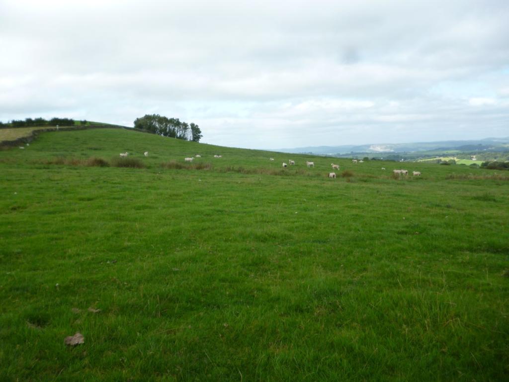Farm land for sale in Gatebeck, Endmoor, Kendal, LA8