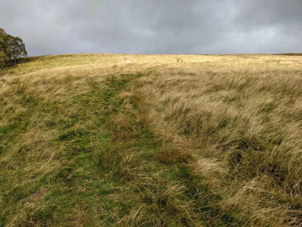 Farm land for sale in Broadfield Lane, Dent, Sedbergh, LA10