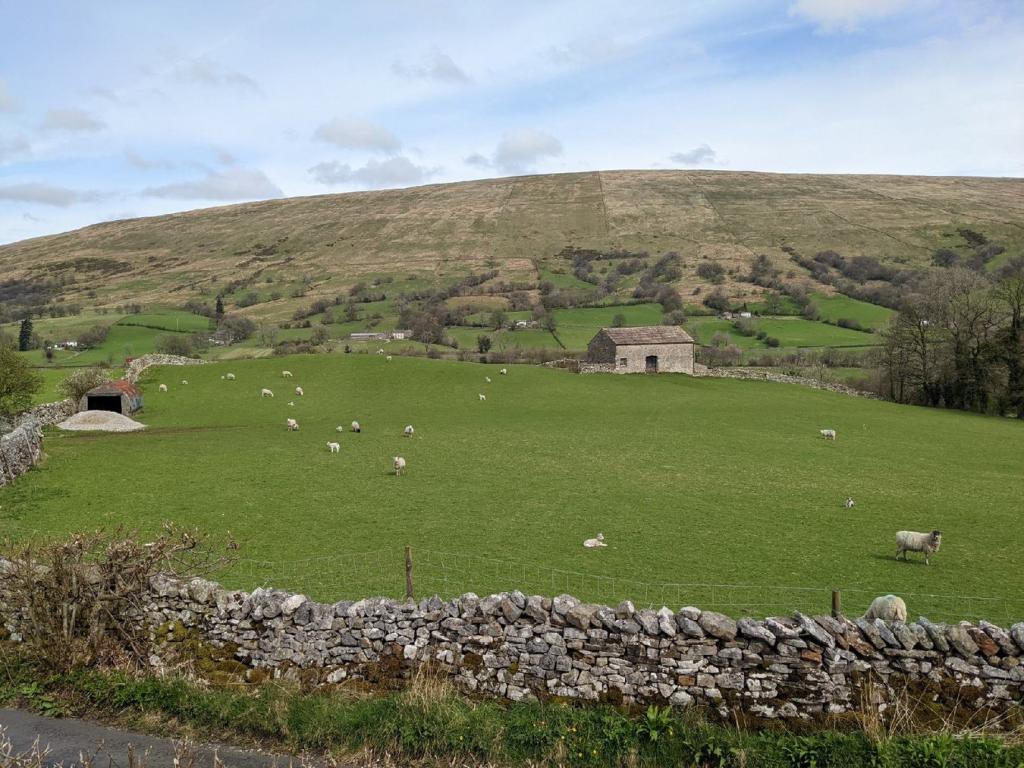Farm land for sale in Deepdale Lane, Dent, Sedbergh, LA10