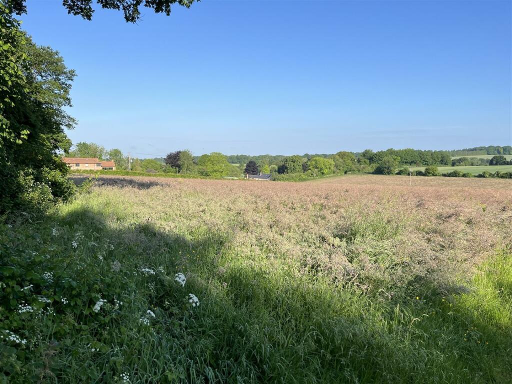 Land for sale in Land at West End Lane, Medstead, Hampshire, GU34