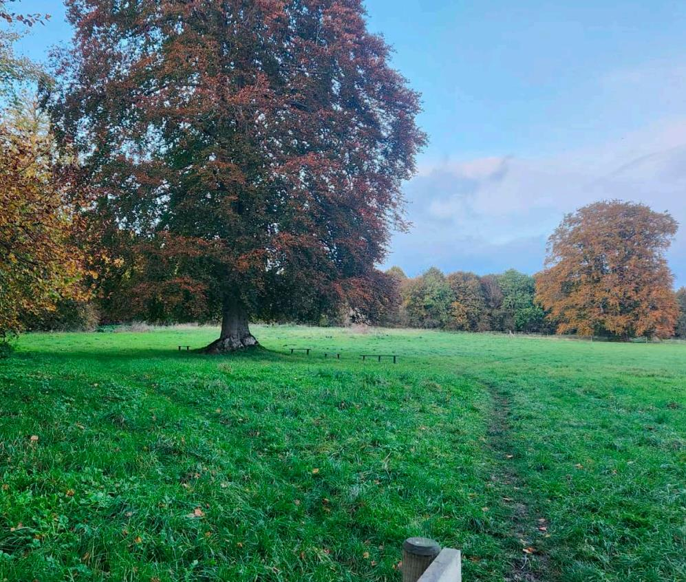 Additional property image - Heytesbury, Warminster