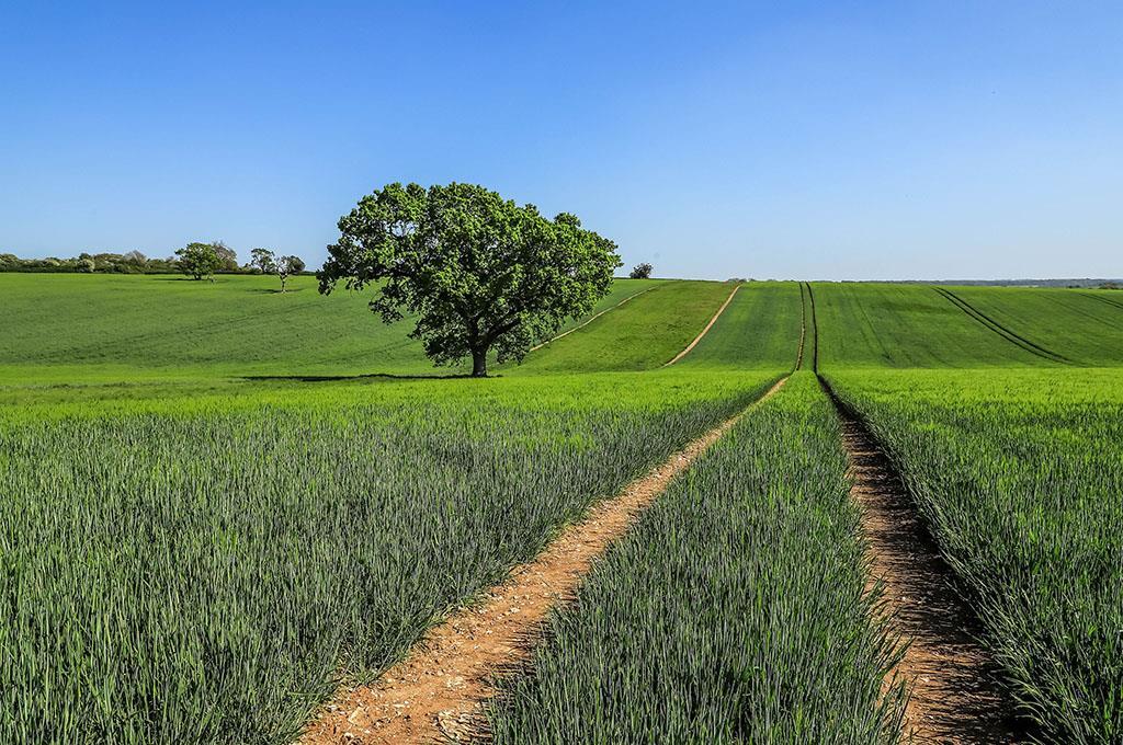 Main image of property: Itchen Down Farm