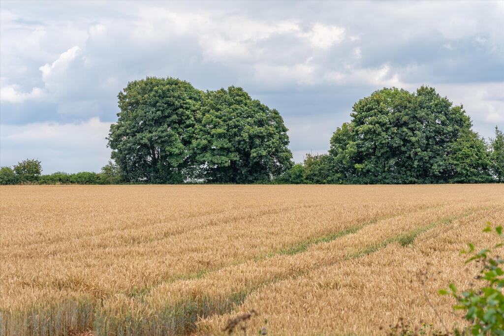 Main image of property: Land at Ashley (Lot3), Tetbury, Gloucestershire, GL8