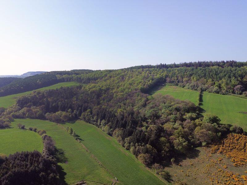 Main image of property: Harwood Dale, Scarborough