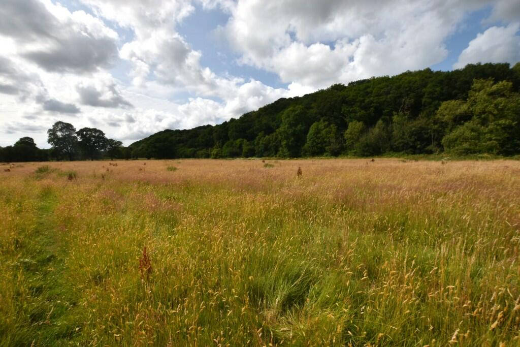Farm land for sale in Land at Bangor Teifi, Llandysul. SA44 5BJ, SA44