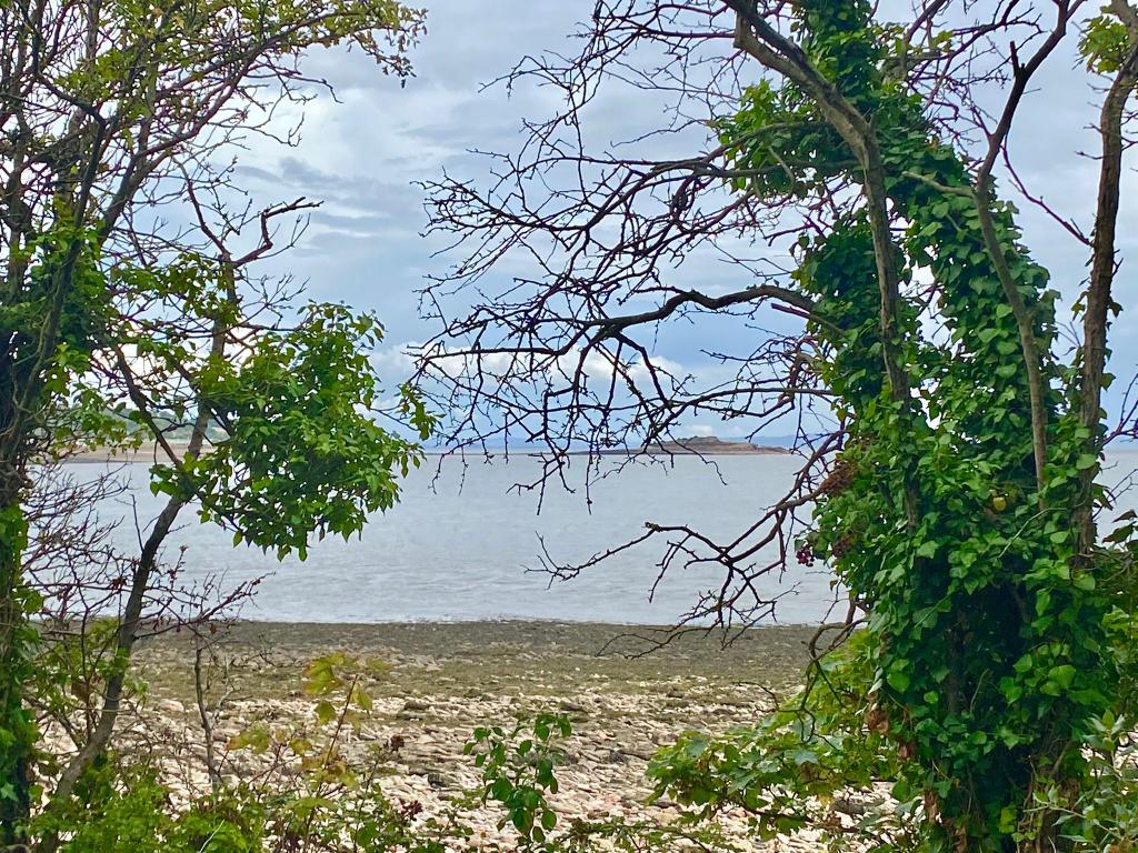 2 bedroom bungalow for sale in Hayes Road, Sully, Penarth, CF64