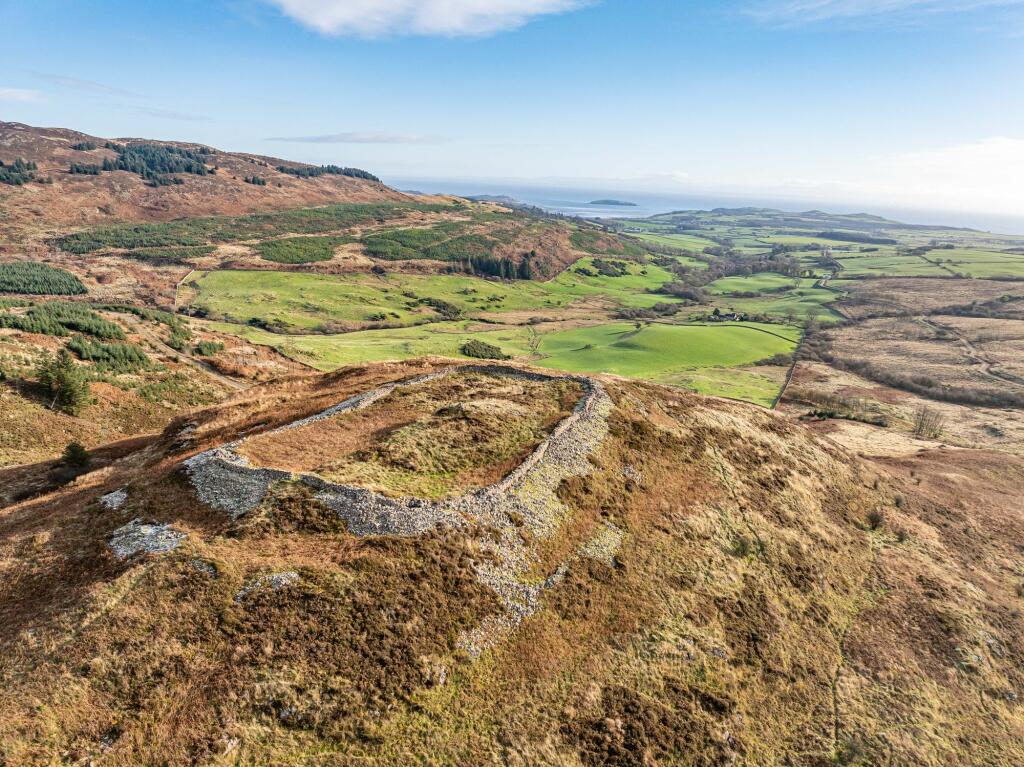 Additional property image - Dungarry Hill Plantation, Auchencairn, Castle Douglas, DG7