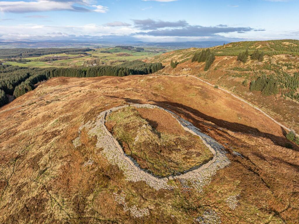 Additional property image - Dungarry Hill Plantation, Auchencairn, Castle Douglas, DG7