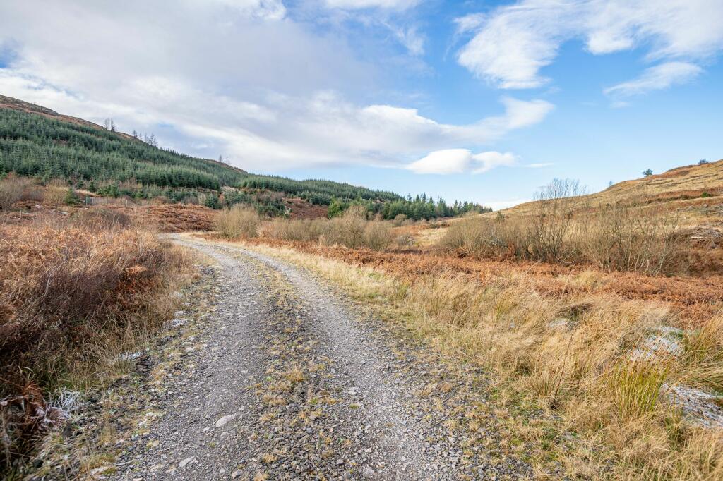 Additional property image - Dungarry Hill Plantation, Auchencairn, Castle Douglas, DG7