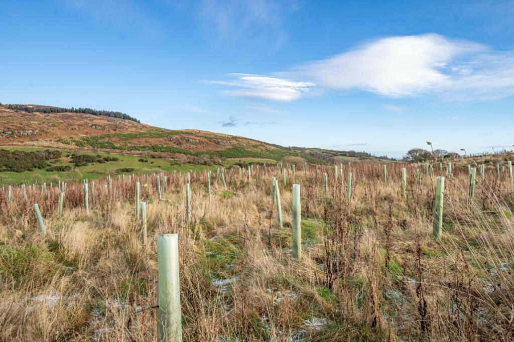 Additional property image - Dungarry Hill Plantation, Auchencairn, Castle Douglas, DG7