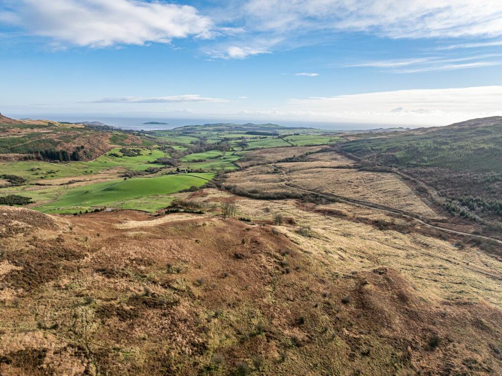 Additional property image - Dungarry Hill Plantation, Auchencairn, Castle Douglas, DG7