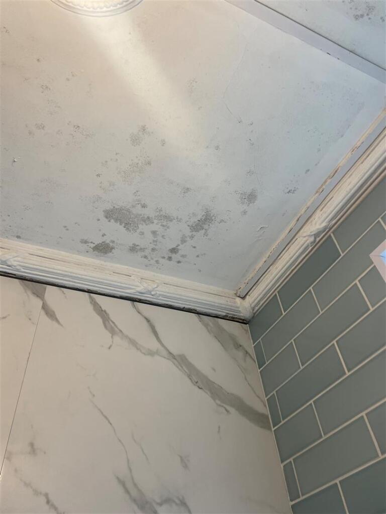 Additional property image - Dongola Avenue