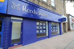 Reeds Rains, Glossopbranch details