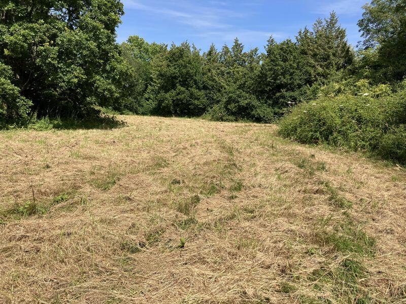 Additional property image - Approximately 1.05 acres of land, Cross Common Road, Dinas Powys, CF64 4TP