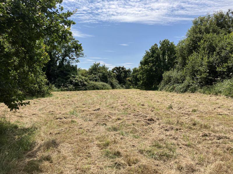 Additional property image - Approximately 1.05 acres of land, Cross Common Road, Dinas Powys, CF64 4TP