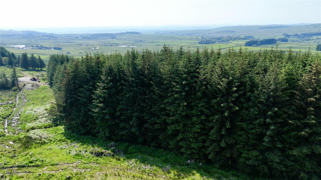 Additional property image - Glenquicken Estate, Creetown, Newton Stewart, Dumfries and Galloway, South West Scotland, DG8