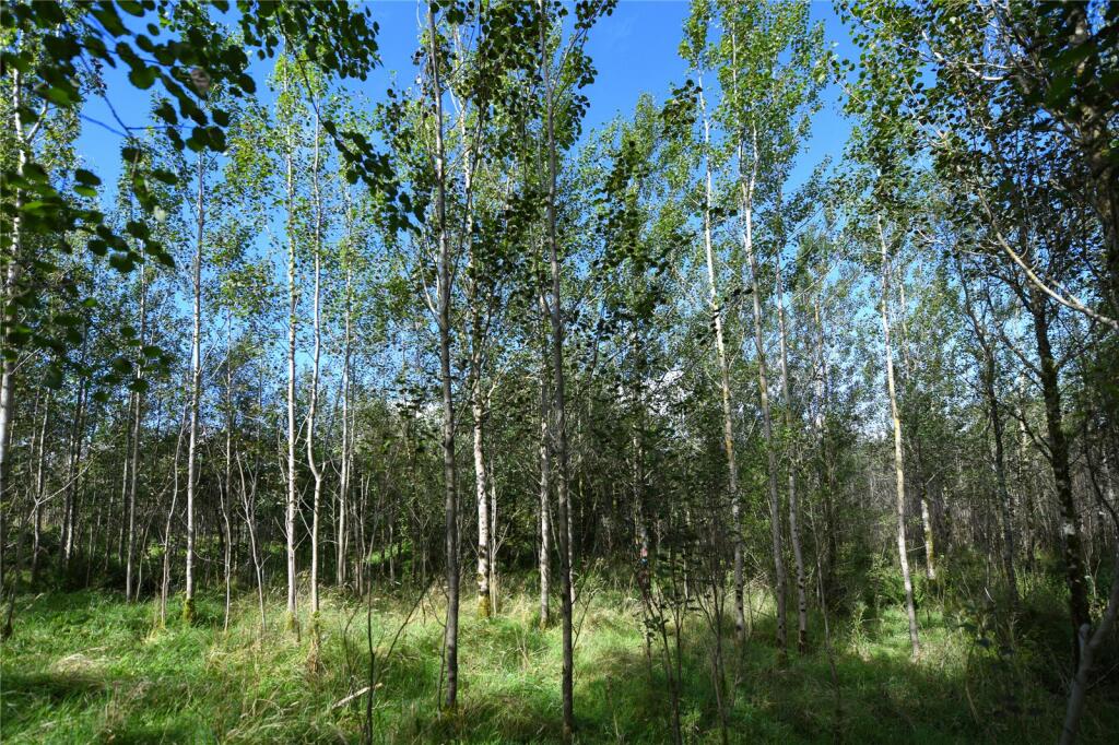 Additional property image - Glenquicken Estate, Creetown, Newton Stewart, Dumfries and Galloway, South West Scotland, DG8