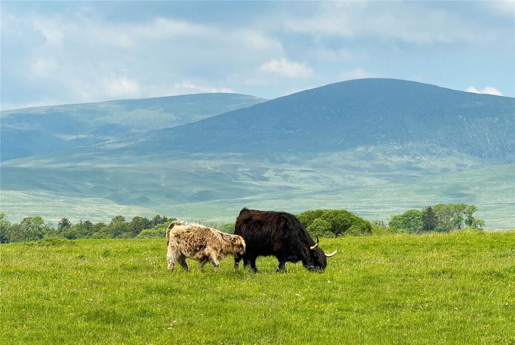 Additional property image - Glenquicken Estate, Creetown, Newton Stewart, Dumfries and Galloway, South West Scotland, DG8